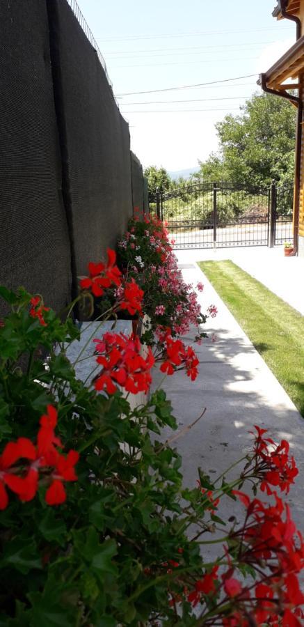 Guest House Ideal 사파레바바냐 외부 사진