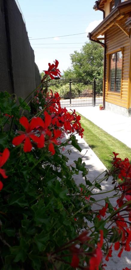 Guest House Ideal 사파레바바냐 외부 사진